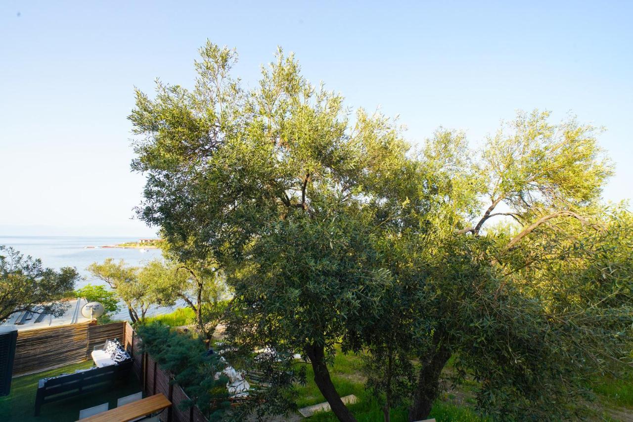 Qcunda Otel Ayvalı Exteriér fotografie